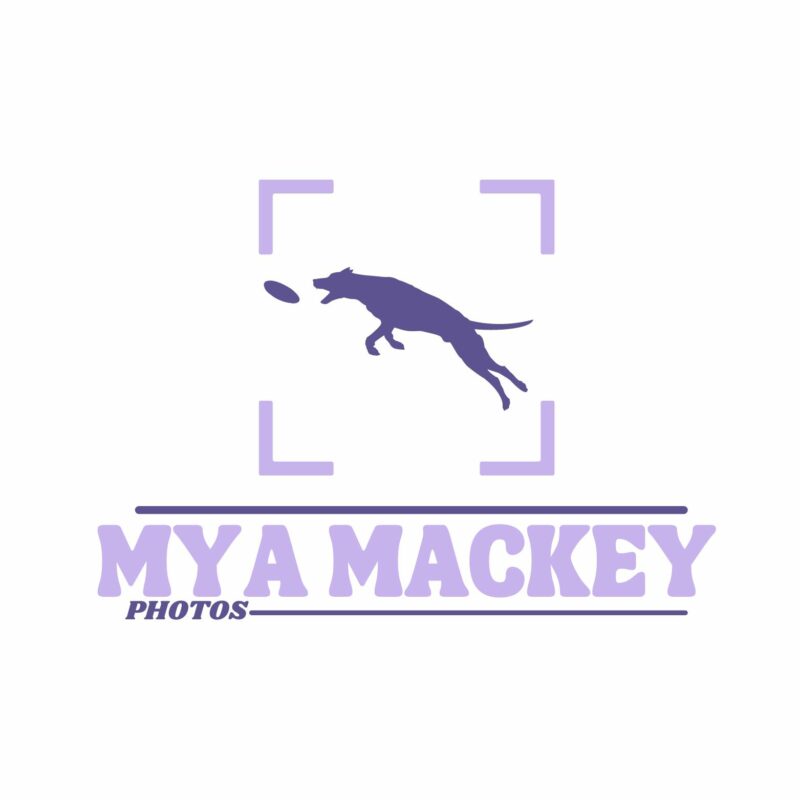 United Flyball League International