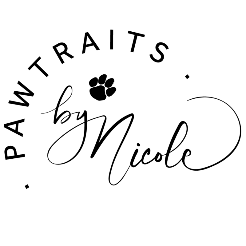United Flyball League International