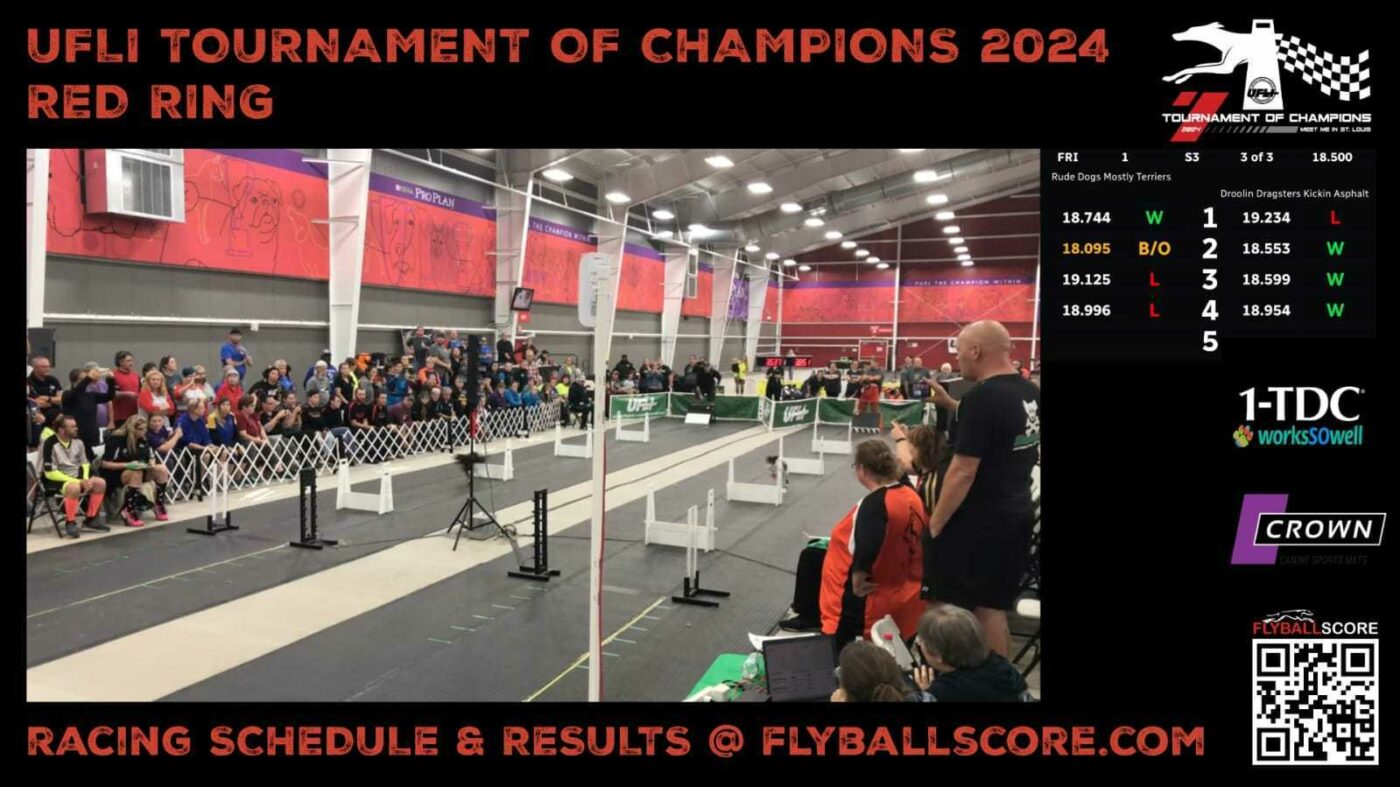 United Flyball League International