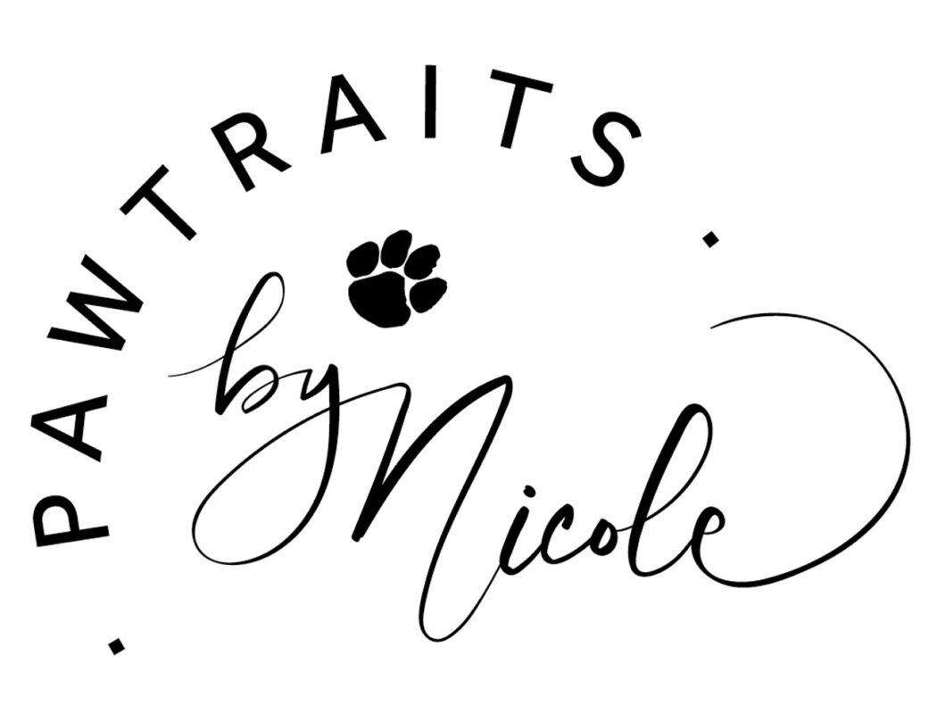 United Flyball League International