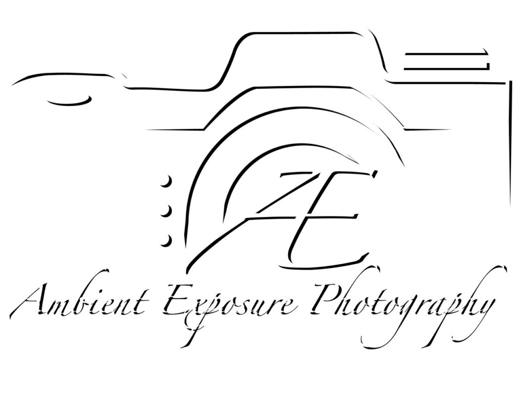 United Flyball League International